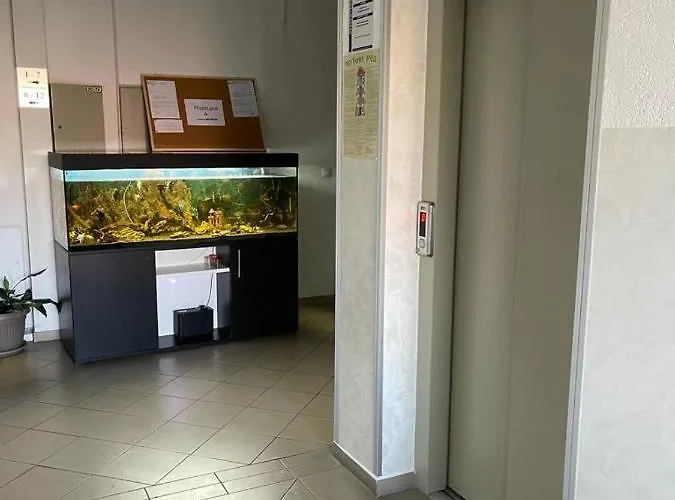 公寓 Lukic Banja Koviljača